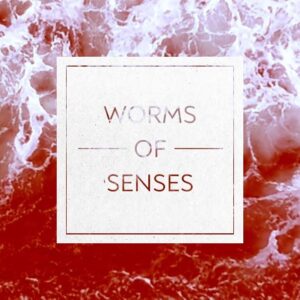 Worm Of Senses - nowy album od sosnowieckiego tria. Trochę noise rocka, math rock i post-rocka.