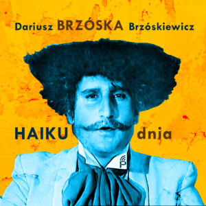Nowe Haiku Dariusza "Brzóski" Brzóskiewicza - codziennie o pełnej godzinie.